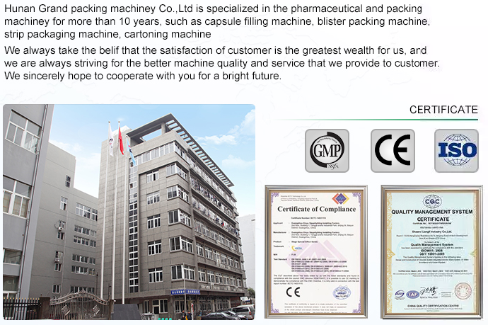 company information معلومات الشركة