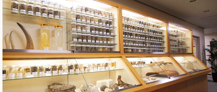 الطب الصيني 3