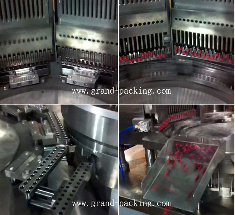 عينة وتفاصيل