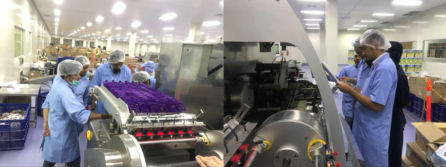 آلة التعبئة والتغليف الكيس إلى العملاء في إندونيسيا لتكملة.